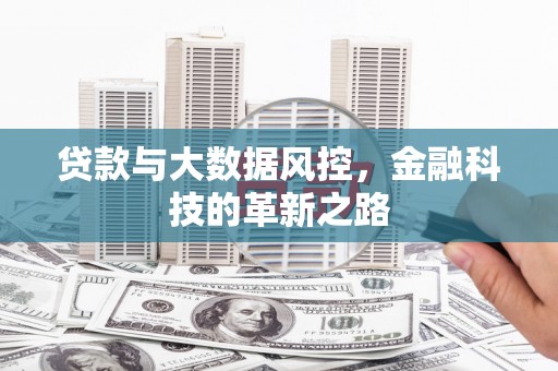 蒙阴贷款与大数据风控，金融科技的革新之路