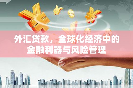 蒙阴外汇贷款，全球化经济中的金融利器与风险管理