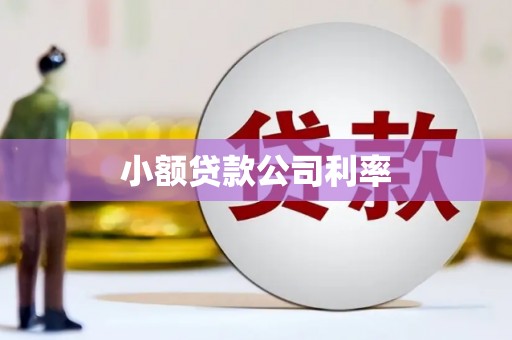 蒙阴小额贷款公司利率