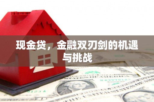 蒙阴现金贷，金融双刃剑的机遇与挑战