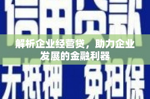 蒙阴解析企业经营贷，助力企业发展的金融利器