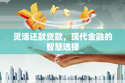 蒙阴灵活还款贷款，现代金融的智慧选择