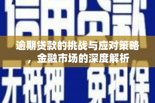 蒙阴逾期贷款的挑战与应对策略，金融市场的深度解析