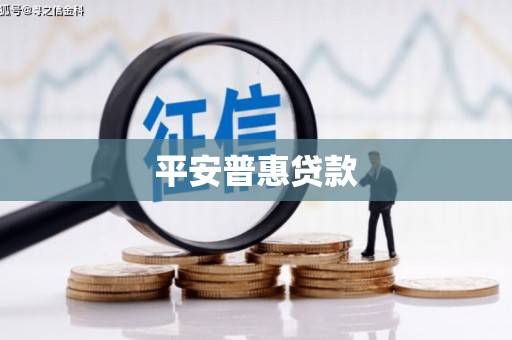 蒙阴平安普惠贷款