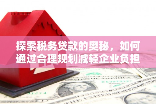 蒙阴探索税务贷款的奥秘，如何通过合理规划减轻企业负担