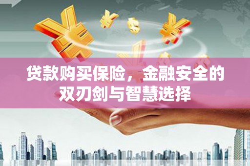 蒙阴贷款购买保险，金融安全的双刃剑与智慧选择