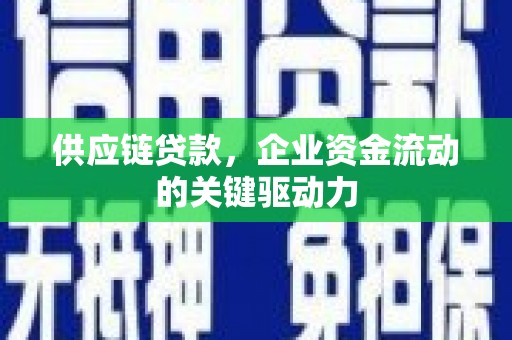 蒙阴供应链贷款，企业资金流动的关键驱动力
