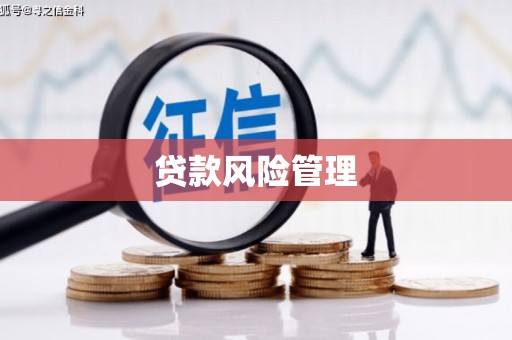 蒙阴贷款风险管理