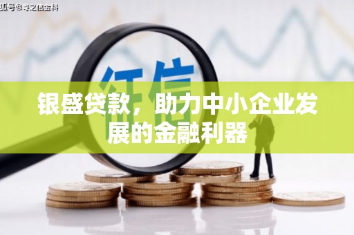 蒙阴银盛贷款，助力中小企业发展的金融利器