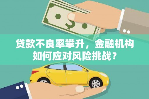 蒙阴贷款不良率攀升，金融机构如何应对风险挑战？