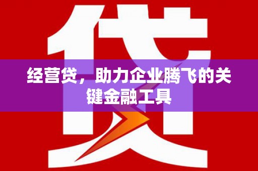 蒙阴经营贷，助力企业腾飞的关键金融工具
