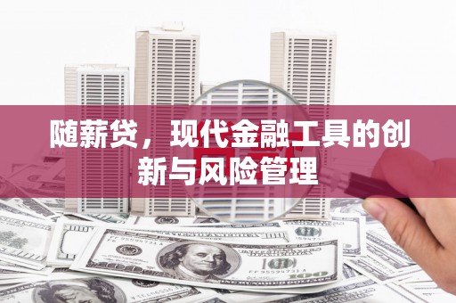 蒙阴随薪贷，现代金融工具的创新与风险管理