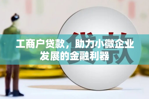 蒙阴工商户贷款，助力小微企业发展的金融利器