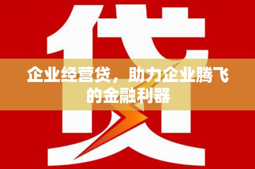 蒙阴企业经营贷，助力企业腾飞的金融利器