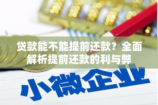 蒙阴贷款能不能提前还款？全面解析提前还款的利与弊