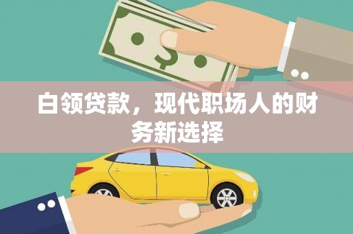 蒙阴白领贷款，现代职场人的财务新选择