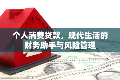 蒙阴个人消费贷款，现代生活的财务助手与风险管理