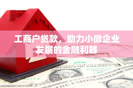 蒙阴工商户贷款，助力小微企业发展的金融利器