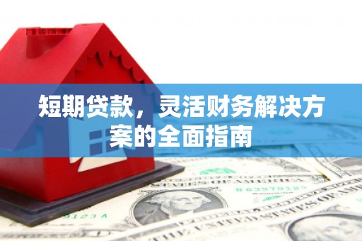 蒙阴短期贷款，灵活财务解决方案的全面指南