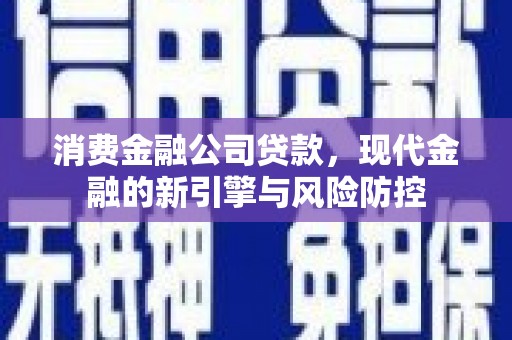 蒙阴消费金融公司贷款，现代金融的新引擎与风险防控