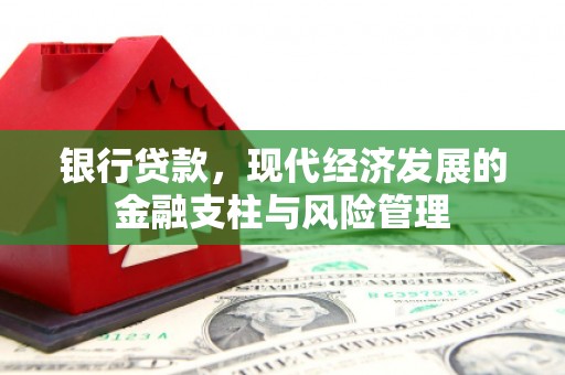 蒙阴银行贷款，现代经济发展的金融支柱与风险管理