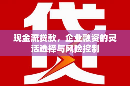 蒙阴现金流贷款，企业融资的灵活选择与风险控制