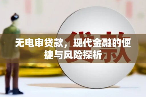 蒙阴无电审贷款，现代金融的便捷与风险探析