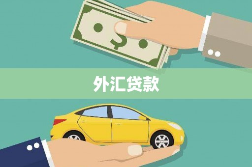 蒙阴外汇贷款