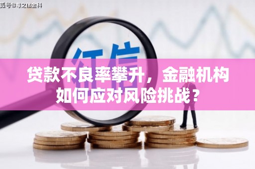 蒙阴贷款不良率攀升，金融机构如何应对风险挑战？