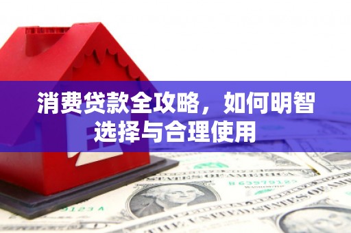 蒙阴消费贷款全攻略，如何明智选择与合理使用