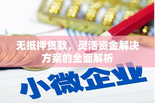 蒙阴无抵押贷款，灵活资金解决方案的全面解析