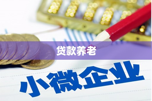 蒙阴贷款养老