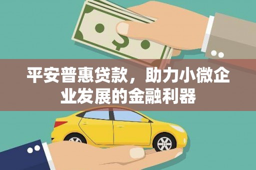 蒙阴平安普惠贷款，助力小微企业发展的金融利器