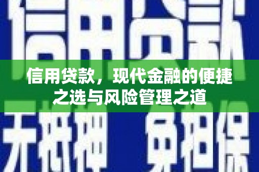 蒙阴信用贷款，现代金融的便捷之选与风险管理之道