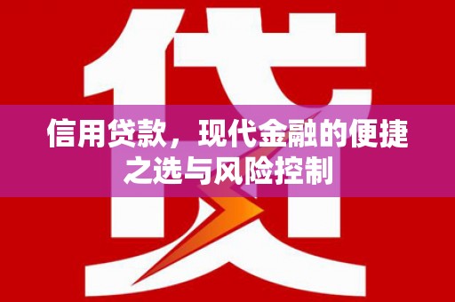 蒙阴信用贷款，现代金融的便捷之选与风险控制