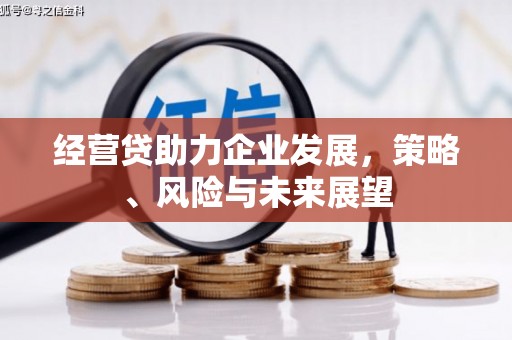 蒙阴经营贷助力企业发展，策略、风险与未来展望