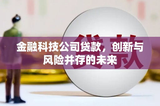蒙阴金融科技公司贷款，创新与风险并存的未来