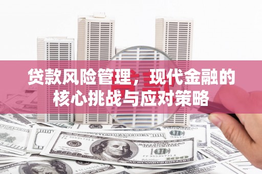 蒙阴贷款风险管理，现代金融的核心挑战与应对策略