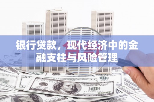 蒙阴银行贷款，现代经济中的金融支柱与风险管理