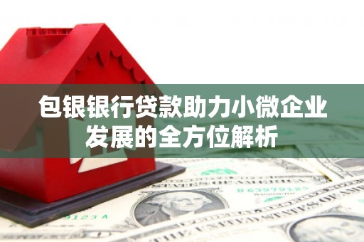 蒙阴包银银行贷款助力小微企业发展的全方位解析