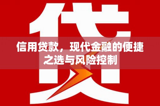 蒙阴信用贷款，现代金融的便捷之选与风险控制