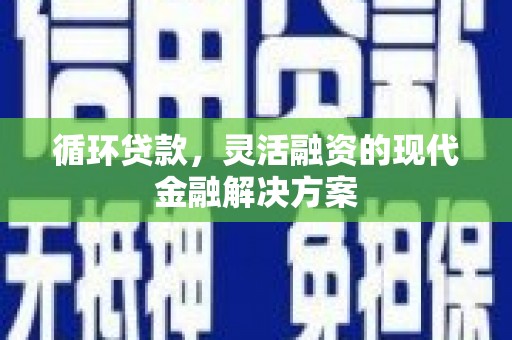 蒙阴循环贷款，灵活融资的现代金融解决方案