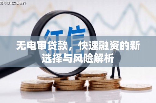 蒙阴无电审贷款，快速融资的新选择与风险解析
