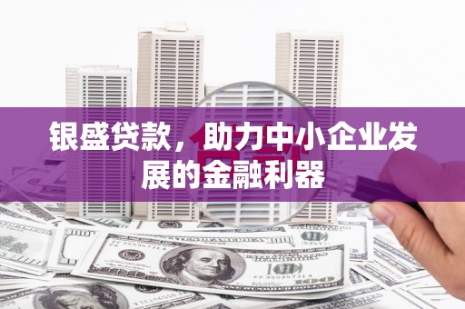 蒙阴银盛贷款，助力中小企业发展的金融利器
