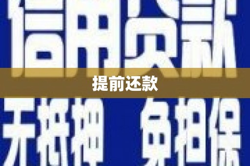 蒙阴提前还款