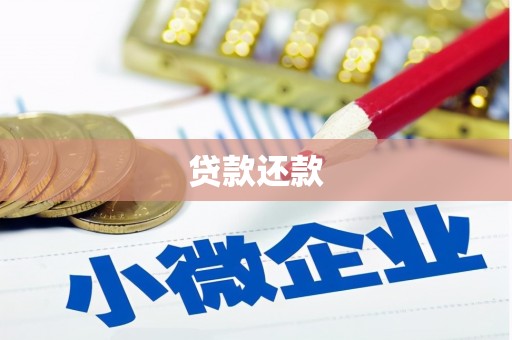 蒙阴贷款还款