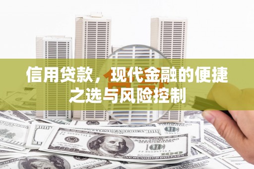 蒙阴信用贷款，现代金融的便捷之选与风险控制