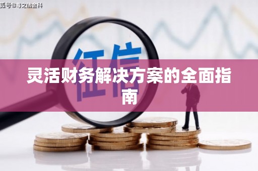 蒙阴灵活财务解决方案的全面指南