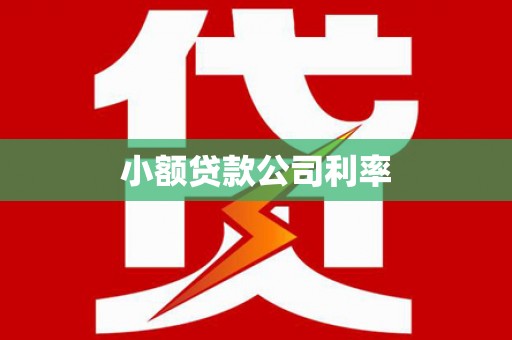 蒙阴小额贷款公司利率