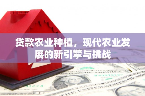 蒙阴贷款农业种植，现代农业发展的新引擎与挑战